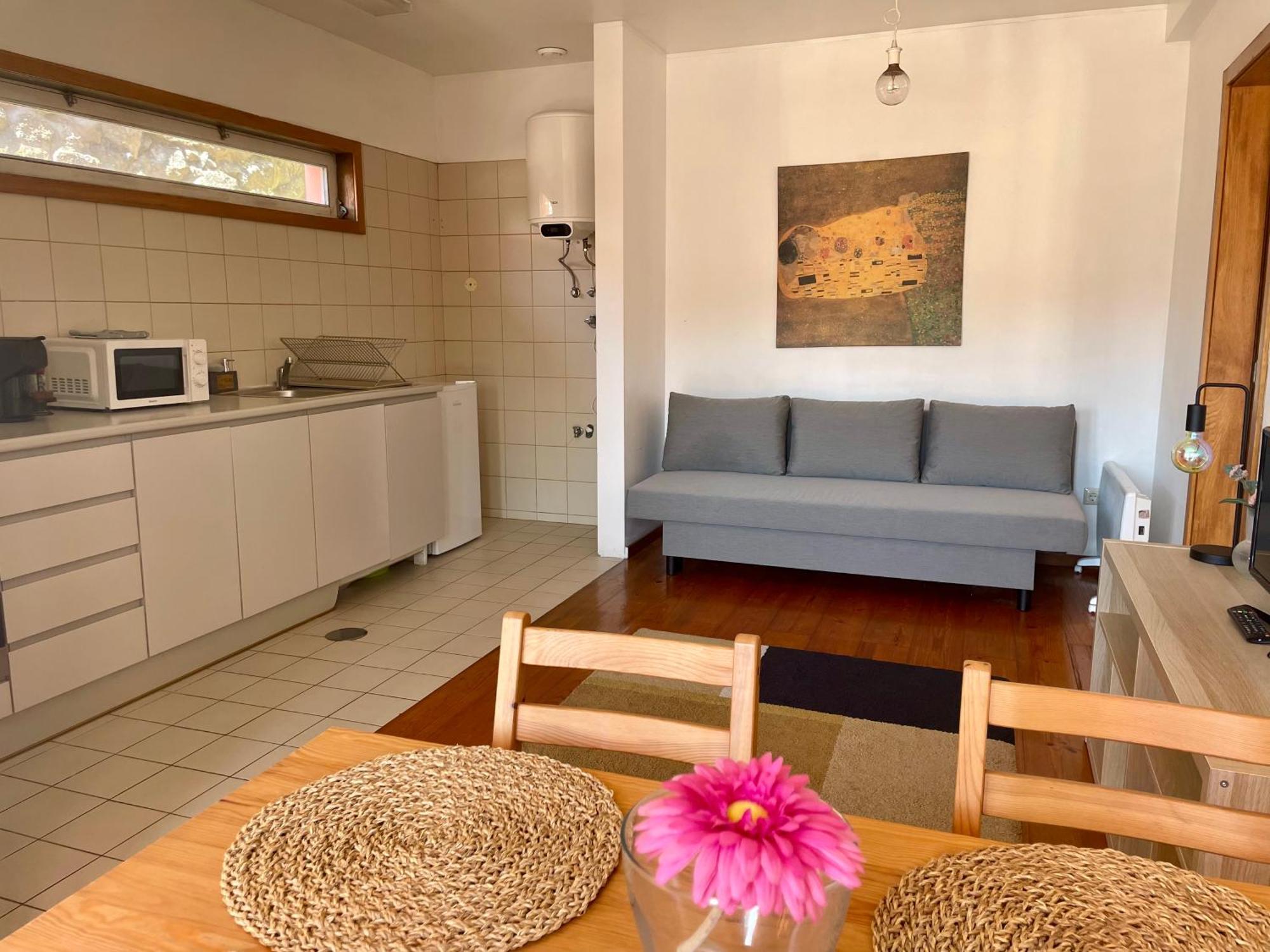 Douro River Charming Flats ポルト エクステリア 写真